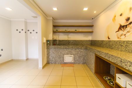 Apartamento para alugar com 33m², 2 quartos e sem vaga Apartamento para alugar com 33m², 2 quartos e sem vagaPet care