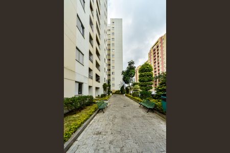 Apartamento para alugar com 118m², 3 quartos e 1 vaga Apartamento para alugar com 118m², 3 quartos e 1 vagaÁrea comum