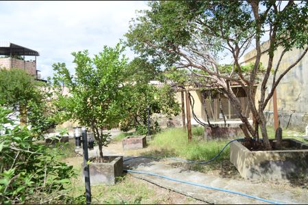 Casa para alugar com 255m², 3 quartos e 5 vagasQuintal