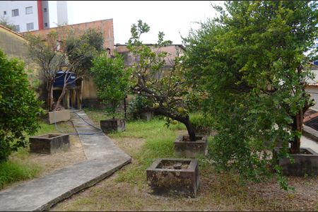 Casa para alugar com 255m², 3 quartos e 5 vagasQuintal