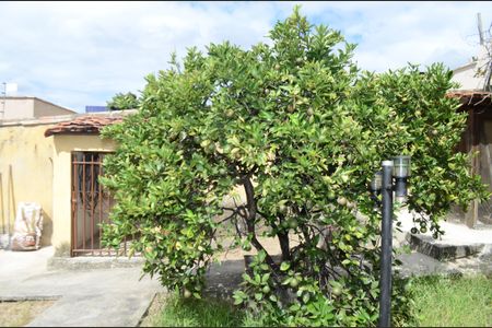 Casa para alugar com 255m², 3 quartos e 5 vagasQuintal