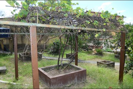 Casa para alugar com 255m², 3 quartos e 5 vagasQuintal