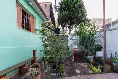 Casa à venda com 247m², 5 quartos e 10 vagas Casa à venda com 247m², 5 quartos e 10 vagasQuintal