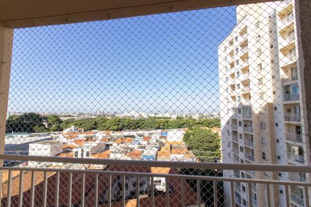 Apartamento para alugar com 2 quartos, 56m² em Botafogo, Campinas