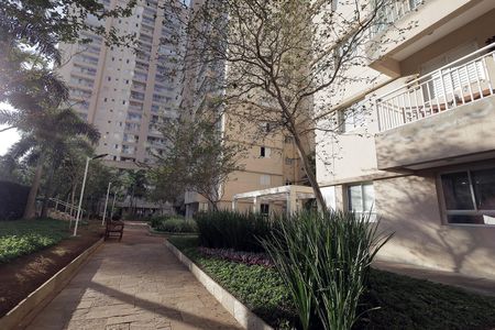 Apartamento à venda com 77m², 3 quartos e 2 vagas Apartamento à venda com 77m², 3 quartos e 2 vagasÁrea comum
