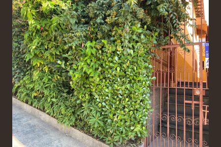Casa para alugar com 60m², 1 quarto e sem vagaFachada