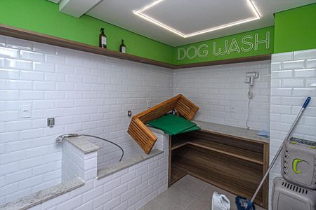 Apartamento para alugar com 40m², 2 quartos e sem vaga Apartamento para alugar com 40m², 2 quartos e sem vagadog wash_1