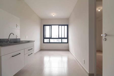 Sala e cozinha de apartamento para alugar com 1 quarto, 25m² em Ipiranga, São Paulo