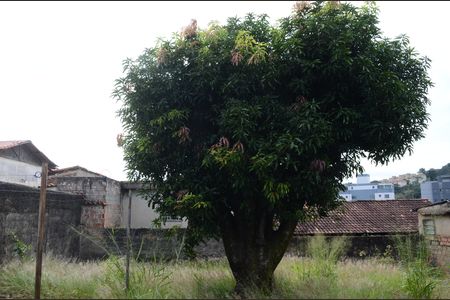 Casa à venda com 163m², 1 quarto e 1 vagaQuintal