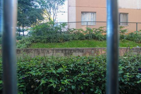 Vista Quarto 1 de apartamento para alugar com 2 quartos, 40m² em Jardim Umarizal, São Paulo