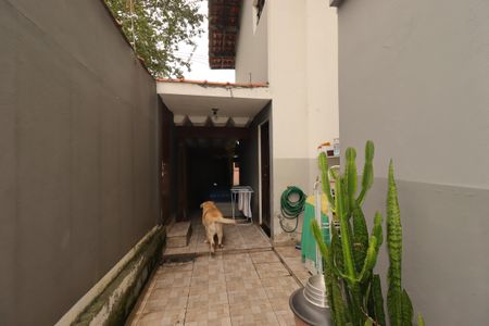 Quintal da Casa 1 de casa à venda com 4 quartos, 200m² em Vila Floresta, Santo André