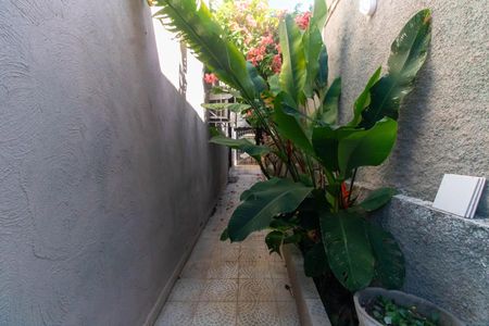 Casa para alugar com 441m², 5 quartos e 1 vagaÁrea externa
