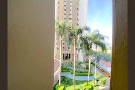 Apartamento à venda com 100m², 3 quartos e 2 vagas Apartamento à venda com 100m², 3 quartos e 2 vagasÁrea de Serviço