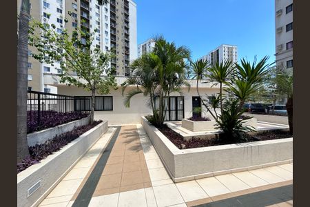 Apartamento para alugar com 64m², 3 quartos e 1 vagaÁrea comum - Salão de festas