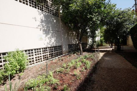 Apartamento para alugar com 80m², 3 quartos e 2 vagasÁrea comum