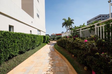Apartamento para alugar com 80m², 3 quartos e 2 vagasÁrea comum