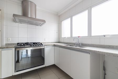 Apartamento para alugar com 173m², 3 quartos e 3 vagasCozinha