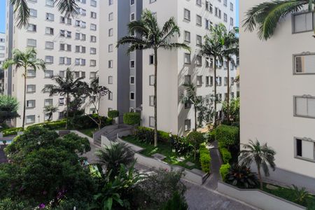 Vista de apartamento para alugar com 3 quartos, 61m² em Vila Industrial, São Paulo