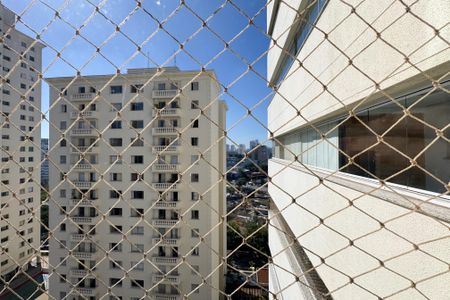 Apartamento para alugar com 204m², 3 quartos e 3 vagasVista do Closet - Suíte 2