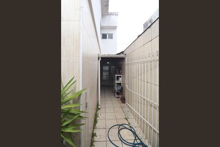 Churrasqueira / Quintal de casa à venda com 3 quartos, 170m² em Vila Albertina, São Paulo