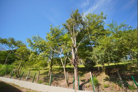 Casa para alugar com 256m², 3 quartos e 3 vagasVista da Varanda