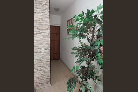 Apartamento à venda com 3 quartos, 66m² em Nova Petrópolis, São Bernardo do Campo