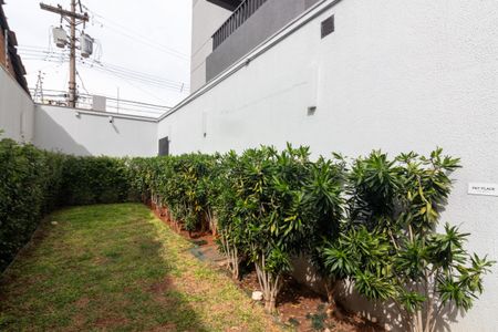 Apartamento para alugar com 29m², 1 quarto e sem vagaPet Place