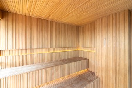 Apartamento para alugar com 29m², 1 quarto e sem vagaSauna
