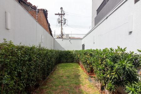Apartamento para alugar com 29m², 1 quarto e sem vagaPet Place