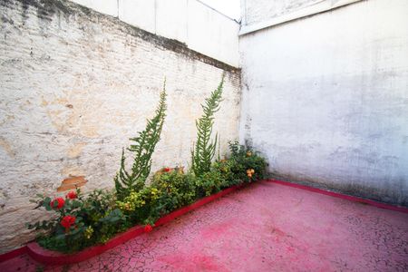 Casa para alugar com 160m², 3 quartos e sem vagaÁrea comum