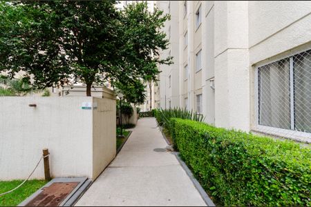 Apartamento para alugar com 43m², 2 quartos e 1 vaga Apartamento para alugar com 43m², 2 quartos e 1 vagaÁrea comum