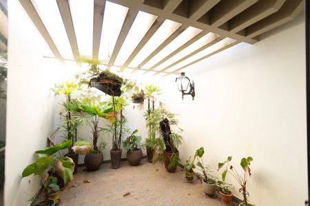 Casa para alugar com 200m², 5 quartos e 5 vagasÁrea de luz do Banheiro Suíte 2 