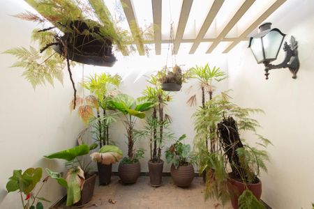 Casa para alugar com 200m², 5 quartos e 5 vagasÁrea de luz do Banheiro Suíte 2 