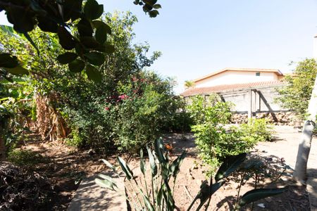 Casa para alugar com 200m², 5 quartos e 5 vagasQuintal 
