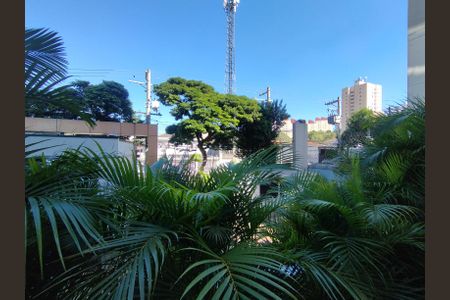 Apartamento para alugar com 52m², 2 quartos e 1 vagaVista da Rua