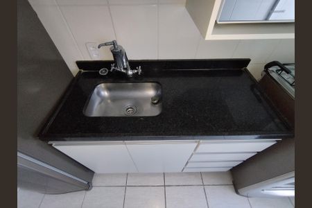Apartamento para alugar com 52m², 2 quartos e 1 vagaCozinha - Torneira