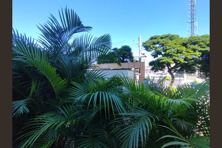 Apartamento para alugar com 52m², 2 quartos e 1 vagaVista da Rua