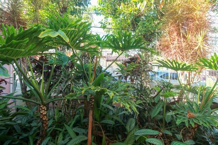 Casa para alugar com 120m², 2 quartos e 1 vagaVista do Quarto 2