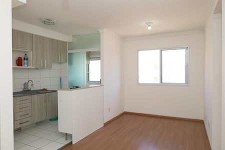 Sala de apartamento para alugar com 2 quartos, 45m² em Vila Carmosina, São Paulo