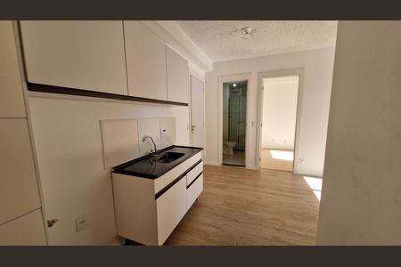 Cozinha de apartamento para alugar com 2 quartos, 35m² em Jardim Sabara, São Paulo