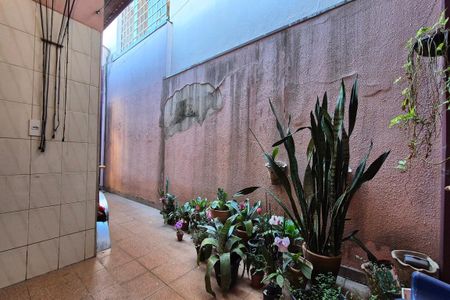 Casa à venda com 200m², 5 quartos e 5 vagasVista da Área de serviço 