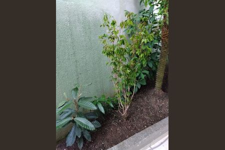 Casa à venda com 169m², 3 quartos e 5 vagas