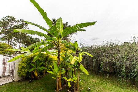 Casa de condomínio à venda com 426m², 5 quartos e 4 vagas Casa de condomínio à venda com 426m², 5 quartos e 4 vagasQuintal