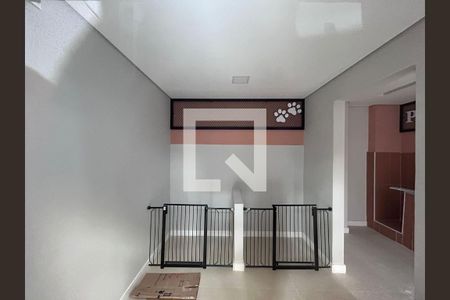Apartamento para alugar com 61m², 3 quartos e 1 vaga Apartamento para alugar com 61m², 3 quartos e 1 vagaPet care