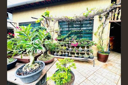 Casa à venda com 1200m², 13 quartos e 5 vagas