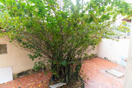 Casa à venda com 141m², 5 quartos e 2 vagas Casa à venda com 141m², 5 quartos e 2 vagasVista da Sala