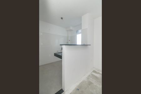 Apartamento para alugar com 45m², 2 quartos e sem vagaCozinha