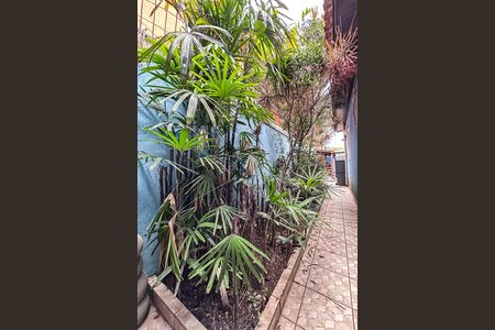 Casa à venda com 319m², 3 quartos e 1 vaga Casa à venda com 319m², 3 quartos e 1 vagaQuintal