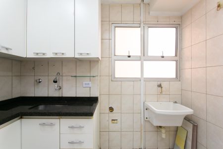 Apartamento para alugar com 50m², 2 quartos e 1 vagaCozinha / Área de Serviço 