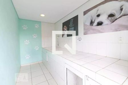 Apartamento para alugar com 50m², 2 quartos e 1 vaga Apartamento para alugar com 50m², 2 quartos e 1 vagaEspaço Pet